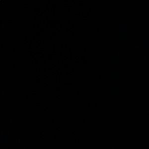 Meet your Posher, Noah